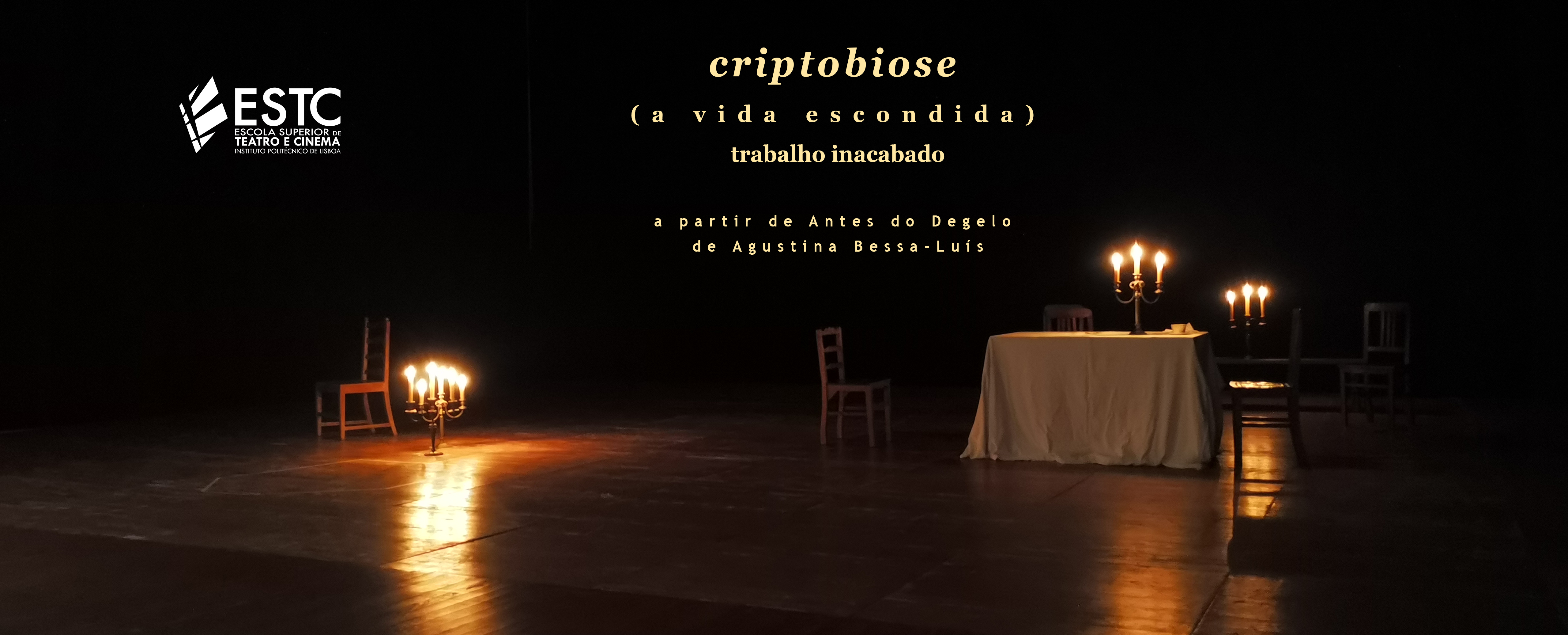 11_criptobiose
